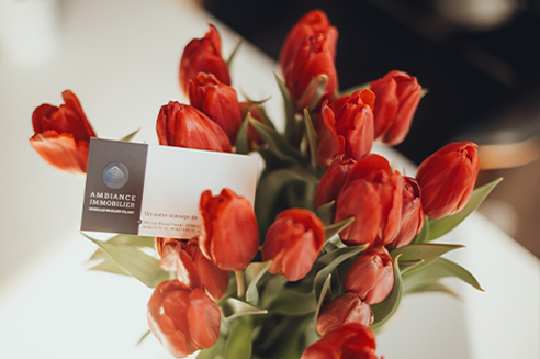 ambiance-immobilier-1